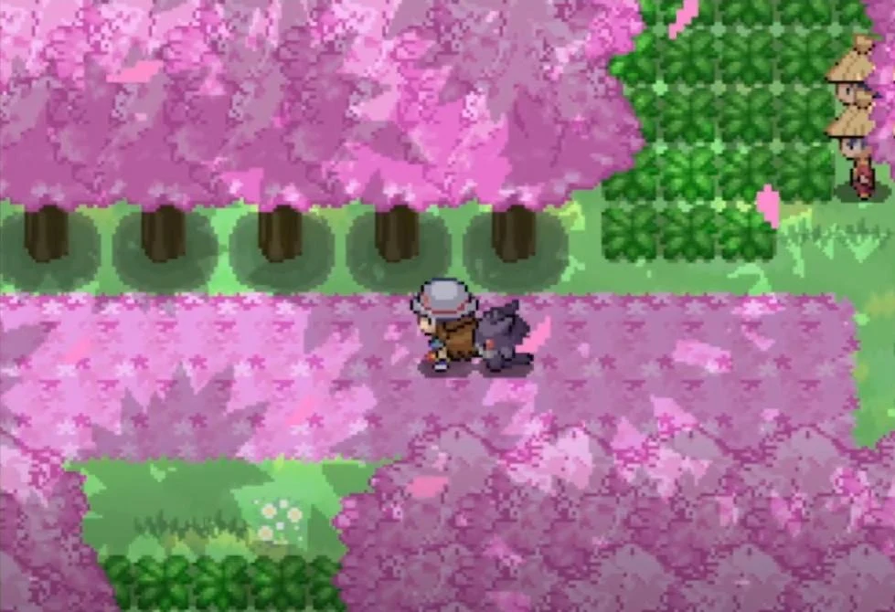 Pokemon Anil