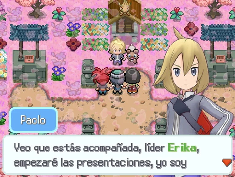 Pokemon Consonancia