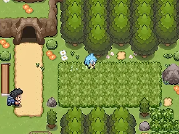 Pokemon Void